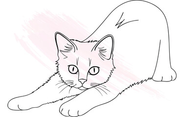 Continous line drawing a Single line cat stretching with  brush strokes animal continuous