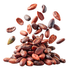 Pile of cocoa beans falling isolated on transparent background