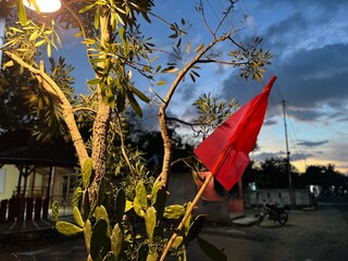 Cultural red mourning flag hanging from a tree under dim twilight sky, representing respect and remembrance.