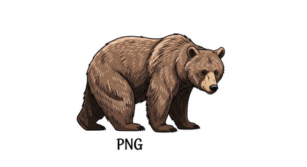 Brown bear illustration isolated PNG with Transparent Background
