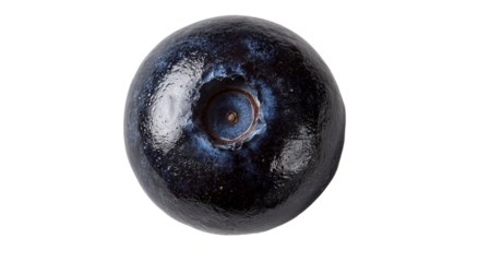 Single dark blue iridescent egg with a glossy finish isolated on transparent background