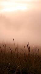 Whispering Fog