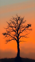Solitary Dusk
