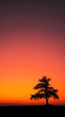 Solitary Dusk