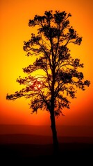 Solitary Dusk