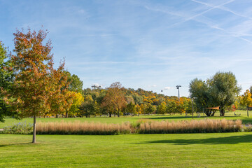 Wide autumn landscape with trees and grass. Golden trees and green fields stretch under a bright blue sky. A peaceful park scene shows natures autumn beauty.