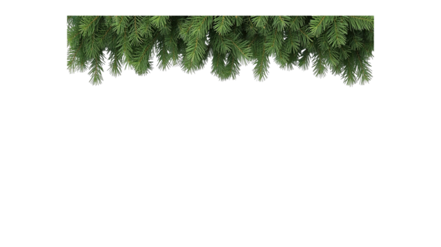 pine leaf border png