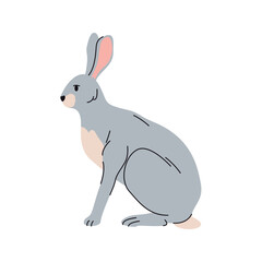 Rabbit or bunny portrait, personage with furry coat sitting. Vector isolated animal character with small tail, creature with grey fut. Wild hare from woodland or forest, mammal with fluffy hair