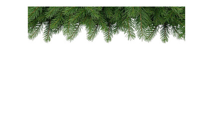 pine leaf border png