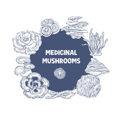 Vector illustration with functional and medicinal mushrooms in engraving style