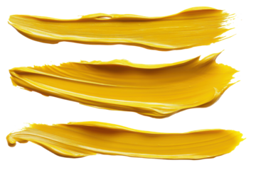 Set of golden yellow paint strokes isolated on transparent background. Collection set of mustard lines isolated on white background.