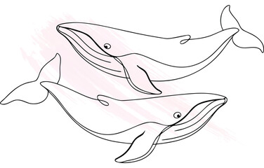 Two whales swimming in a continuous line drawing style with  brush strokes Single line