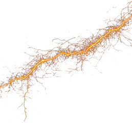 Energy line PNG bright golden lightning texture background