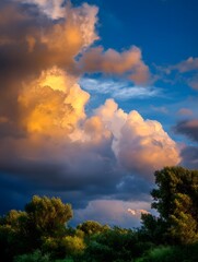 Obraz premium Golden hour sunlight illuminates a vibrant sky with scattered clouds and fresh droplets after rain casting light over a lush verdant forest below