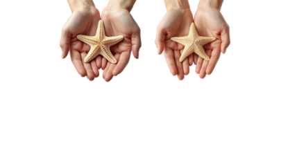 Hand holding starfish png