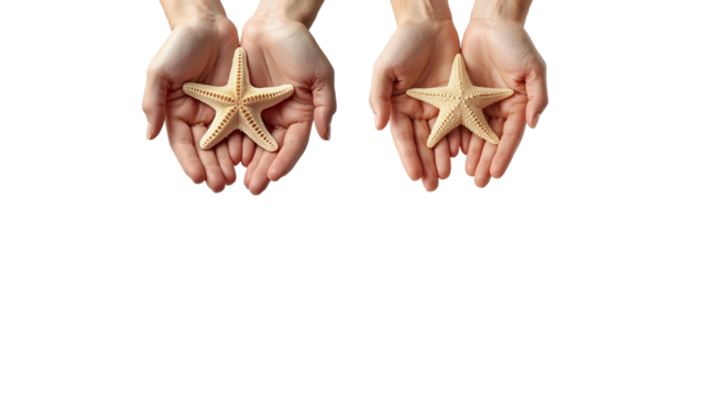 Hand holding starfish png