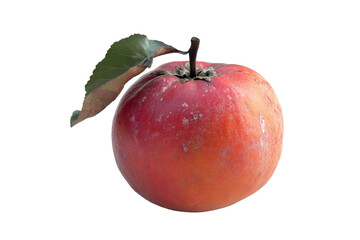 Ripe red persimmon with green leaf isolated on transparent background. Persimmon isolated on white background.