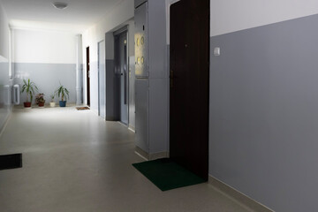 Quiet hallway in a residential building with plants and doors at midday