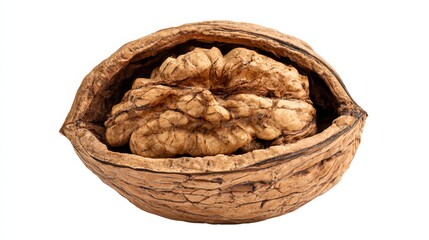 Single walnut, separated on a white background. A clipping path is included for easy removal.
 