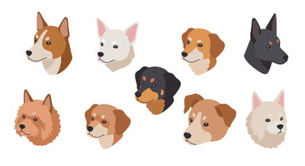 Obraz premium Flat style dog heads collection with various breeds on white background