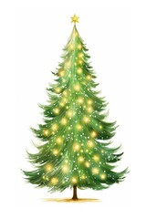 Fototapeta premium Christmas tree decorated with lights christmas plant white background.