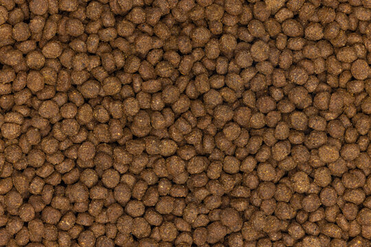 Full frame close up macro image of cat dry food kibbles