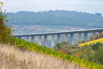 Moselle Viaduct Longuich, vineyard in Mosel valley, autumn season, bridge of highway crossing river near Trier, german autobahn