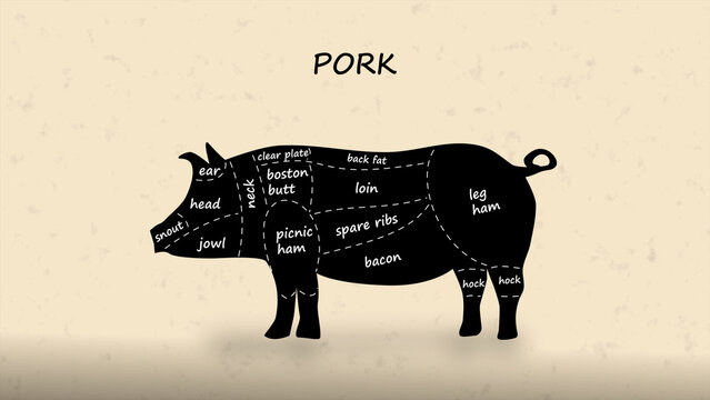 Detailed butcher diagram of pig showing all pork cuts and sections. Ideal for culinary guides, cooking, meat preparation, educational charts, and illustrations