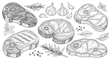 Hand-drawn collection of raw and grilled beef steaks, fresh garlic, and rosemary sprigs for cooking and barbecue preparation