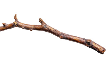 Fototapeta premium A weathered wooden staff with a knotty texture isolated on transparent background. Walking stick isolated on white background.