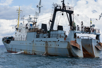 Commercial Fishing Trawler Ship Moving on Ocean Water with Birds