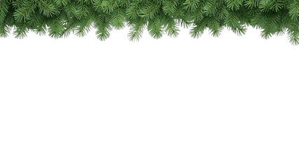pine leaf border png