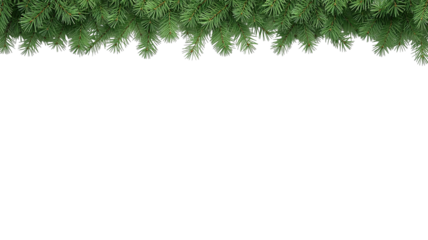 pine leaf border png