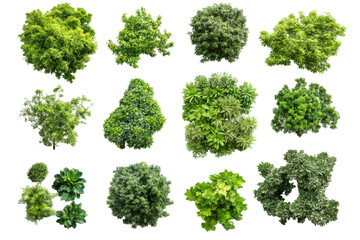 Collection of small green bushes and trees isolated on transparent background. Aerial view of various lush green trees showcasing diverse shapes and sizes isolated on white background.