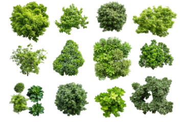 Collection of small green bushes and trees isolated on transparent background. Aerial view of various lush green trees showcasing diverse shapes and sizes isolated on white background.