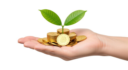 Isolated hand holds coins with fresh plant growing money investment future financial growth