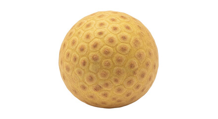 Isolated single longan fruit in round shape with yellow shell, close up, no background