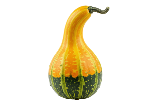Isolated ornamental gourd with colorful stripes, curved stem, and pear-like shape.