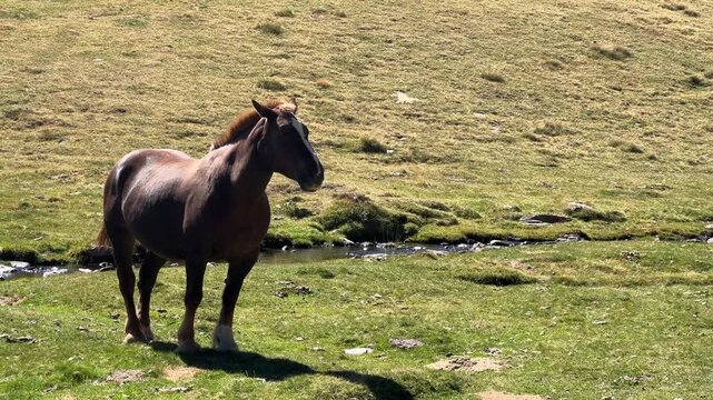 Andorra in den Bergen