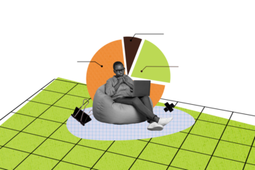 Composite photo collage of minded american girl sit beanbag browsing laptop diagram statistics development isolated on painted background