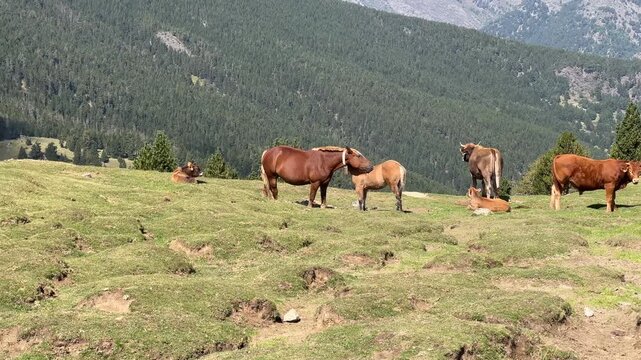 Andorra in den Bergen