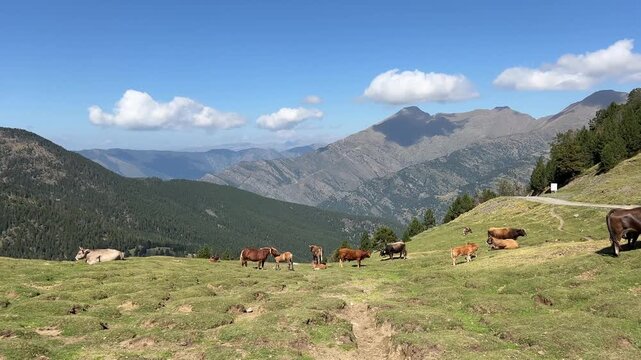 Andorra in den Bergen
