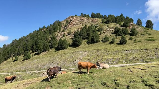 Andorra in den Bergen