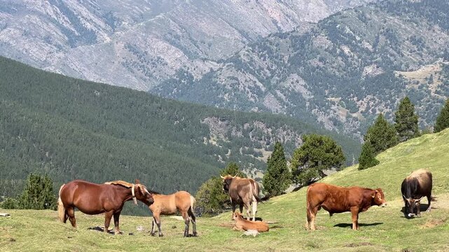 Andorra in den Bergen