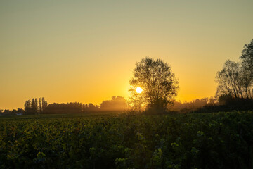 Un soir &agrave; Saint-&Eacute;milion