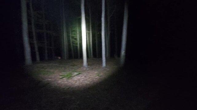 First-person view of walking through a dark, mysterious forest at night with a flashlight, creating a tense and horror-like atmosphere