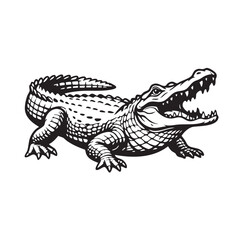 Aggressive alligator with open mouth, black and white vector illustration.
