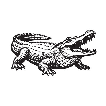 Aggressive alligator with open mouth, black and white vector illustration.