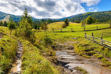 Fototapeta premium mountainous rural landscape of ukraine in autumn. wooden fence near the path through grassy meadow on the hillside. scenery with fir forest on the mountains on a sunny day under blue sky with clouds