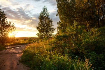 Fototapeta premium Golden hour hues drench a winding dirt path amidst lush, sun-drenched foliage. Rustic country road bathed in warm light under a serene sky